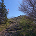 Zuoberst ist der Parcours etwas kalkig-steinig-felsig