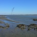 Das Wattfahrwasser ist bei dieser Tour etwa knietief und hat (wie meistens) eine kräftige Strömung. Ein Stock ist hilfreich, um das Gleichgewicht zu behalten.<br /><br />(Foto vom 26.04.2025)