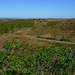 Auf der Aussichtsdüne (19 m) - vermutlich der höchste Gipfel der Insel<br /><br />(Foto vom 26.04.2025)