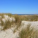 Liebliche Dünenlandschaft<br /><br />(Foto vom 26.04.2025)