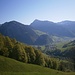Au mit Didamskopf