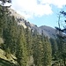 Noch ein Blick zurück zum Gipfel, bevor es durch den Wald steil nach Mellau geht.
