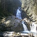 Wasserfall des Alpbachs
