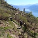 Salendo verso la Corona dei Pinci