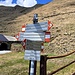 Discesa in libera verso l'Alpe Palù