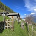 Sentiero Alpe Sumero - Labbio