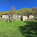 Labbio