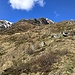 Dorsale NE