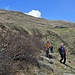 Sentiero Alpe Palù - Rifugio La Canua