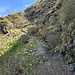 Sentiero Alpe Sumero - Labbio