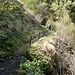 Sentiero Alpe Sumero - Labbio