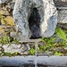 Fontanella