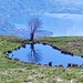 Riflessi