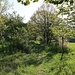 Kirschenpfad