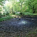 Feuchtgebiet