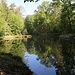 Waldteich