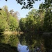 Waldteich