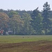 Störche