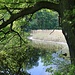 Alte Eiche