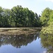 Ziegenteich 2