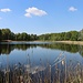 Teich