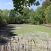 Trockenliegender Teich