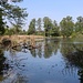 Teich