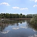 Letterteich