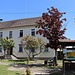 In Groß Radisch