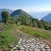 <b>Prima di raggiungere il Pian delle Alpi, svolto a sinistra su una stradina “agro-silvo-pastorale”, che conduce alla grande stalla dell’Alpe di Cerano. </b>