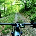 <b>Al crocicchio sottostante seguo, alla destra, il segnavia rosso della “Intelvibike MTB Granfondo”, che mi indirizza verso il bosco fitto. In questo tratto il fondo è umido o bagnato a causa delle piogge degli ultimi giorni.</b>