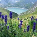 Le lac d'Emosson vu du Col de Barberine