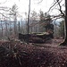 Die spärlichen Reste der Ruine Luginsfeld ( 785m )