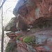 Studie - der Sandstein bankt auf vielfache Weise härtere und weichere Schichten. Dazu kommen Witterungseinflüsse und Bewuchs, Erosion und Temperaturunterschiede. Die Folge sind fantastsiche Formen
