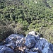 Einstiegswand von oben. Wie man sehen kann herrscht hier an Wochenenden meist Hochbetrieb