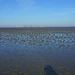 Etwa Dreiviertel der Tour gehen durch gut begehbares Sandwatt