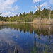 Der Länge nach über den Etang geblickt