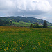 Mont Gibloux