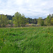 Der etwas versteckt liegende Etang des Bugnons