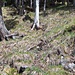 erkennbare Steigspur