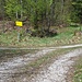 Bereich T-Kreuzung