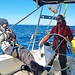 Gute Laune bei Dominik am Steuer im Gespräch mit Skipper Jürg