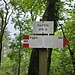 Con un ultimo tratto su afalto chiudiamo il giro, con 17km e 1300m di dislivello relativo