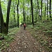 Il largo sentiero che dal Monte Pravello scende a Crocefisso