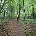 Questo il sentiero Monte Pravello -  Crocefisso