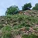 La risalita del versante Sud-Est del Monte Mondonico