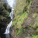 Ess-na-Larach
