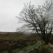 Das Tal des Glenshesk River ist auch bei Regen faszinierend schön