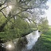 Idyll