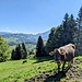 Endlich wieder Sommer-Idylle ;).